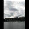 IMG_6596
3/21/2007 2:07:17 PM